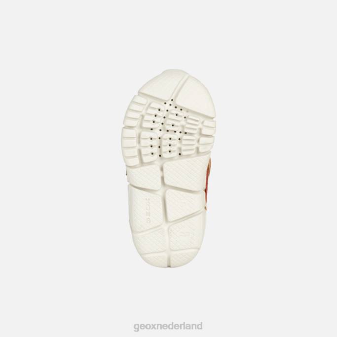 Geox flexyper abx baby 282Z2027 whisky/bruin