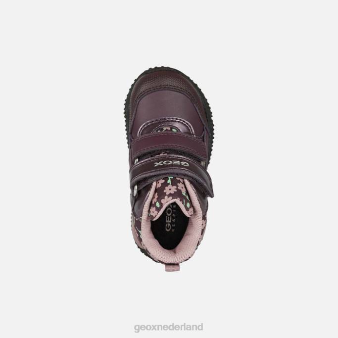 Geox Baltische abx peuter 282Z1482 pruim/donkerroze