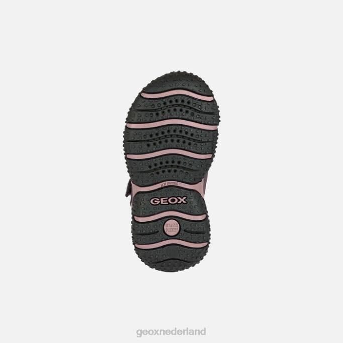 Geox Baltische abx peuter 282Z1482 pruim/donkerroze