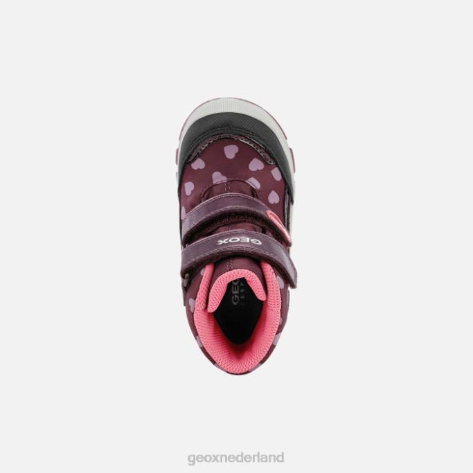 Geox flanfil abx peuter 282Z1491 gedroogde pruim