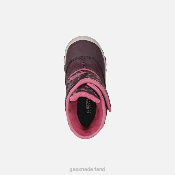 Geox flanfil abx peuter 282Z1512 pruim/donker fuchsia