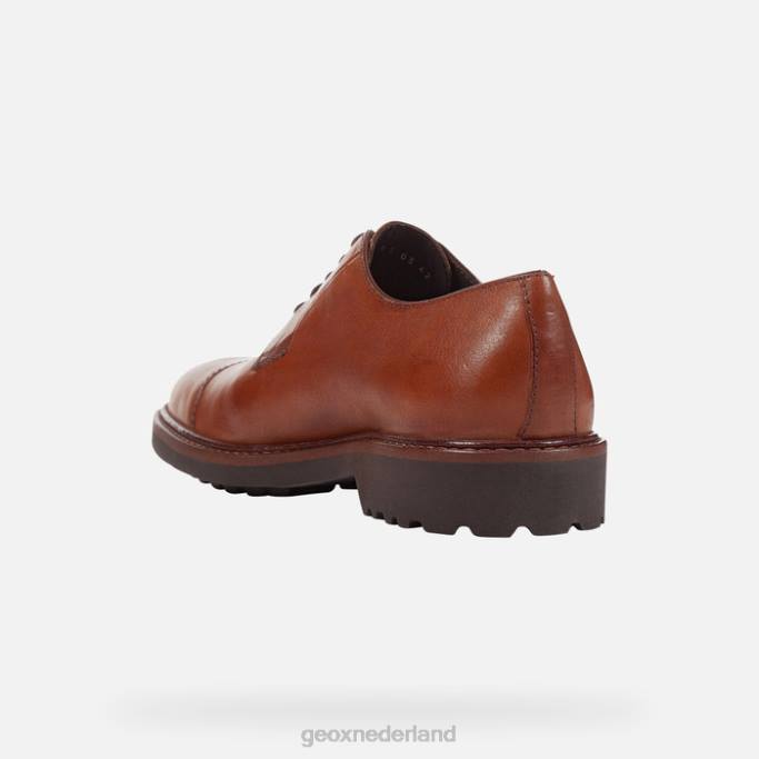 Geox cannaregio man 282Z957 bruin