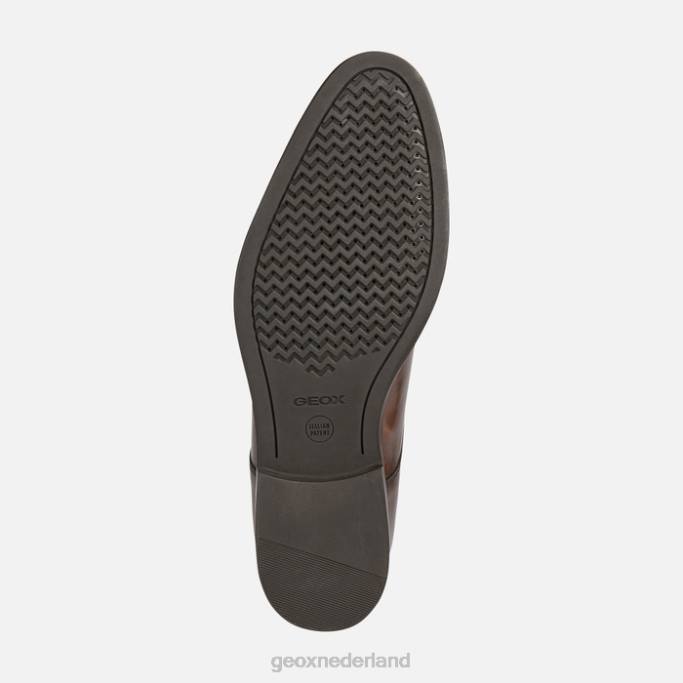 Geox hampstead man 282Z708 donker bruin