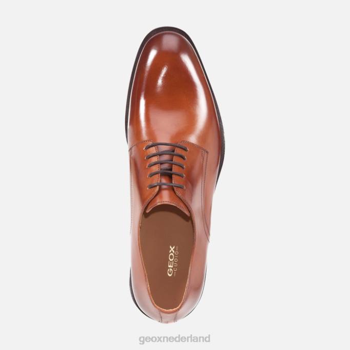 Geox zeg meer man 282Z764 cognac