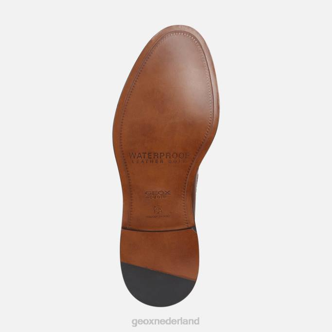 Geox artenova man 282Z1834 cognac