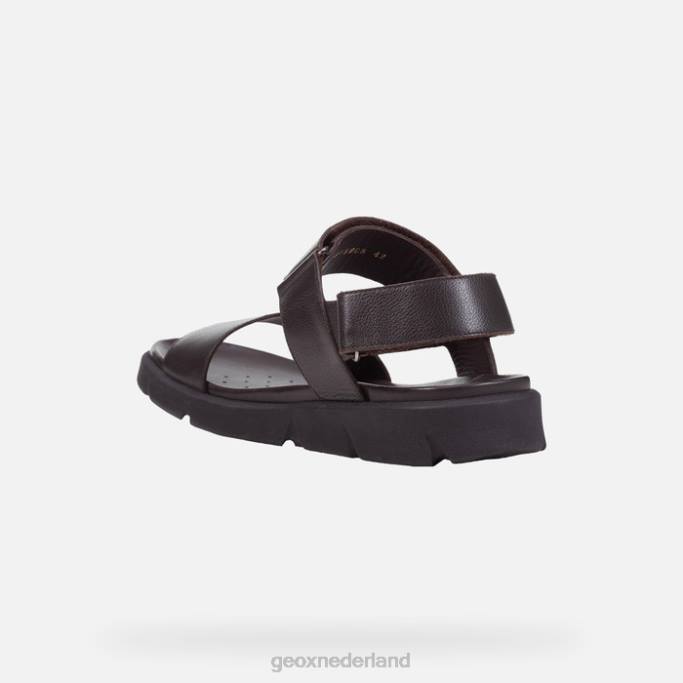 Geox x en 2s man 282Z1757 bruin katoen