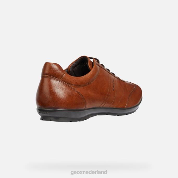 Geox symbool mens 282Z1851 bruin katoen